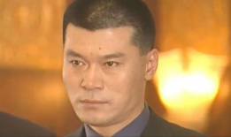 陈一龙是哪部电视剧,揭秘悬疑剧中的正义守护者